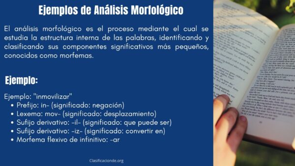 Ejemplos de Análisis Morfológico