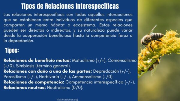 Tipos de Relaciones Interespecíficas