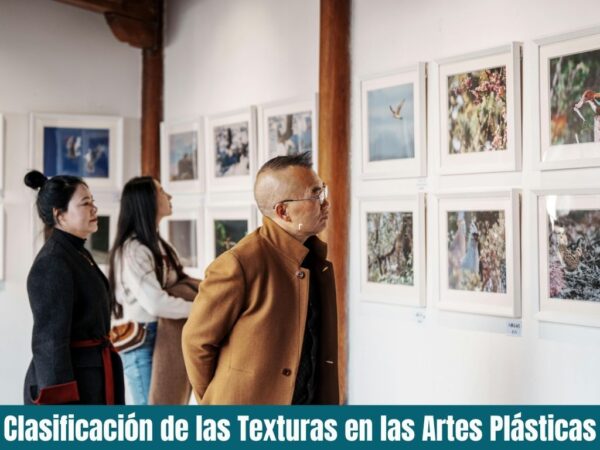 Clasificación de las Texturas en las Artes Plásticas