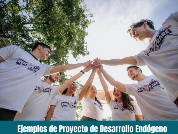 Ejemplos de Proyecto de Desarrollo Endógeno