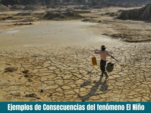 Ejemplos de Consecuencias del fenómeno El Niño