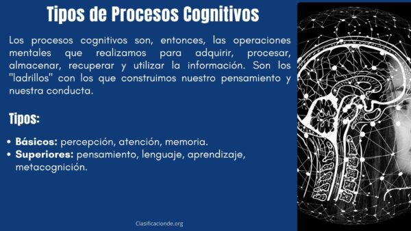Tipos de Procesos Cognitivos