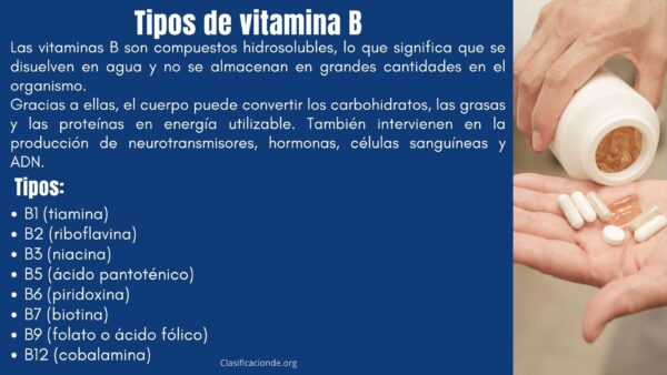 Tipos de vitamina B