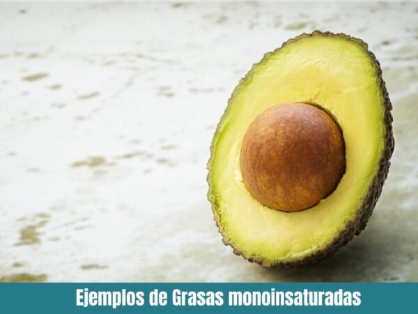 Ejemplos de Grasas monoinsaturadas