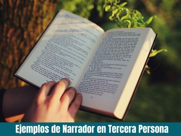 Ejemplos del Narrador en Tercera Persona